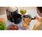 Philips Airfryer Essential Compact